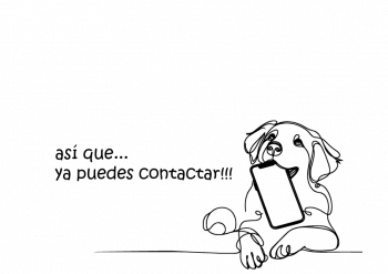 perro_telefono
